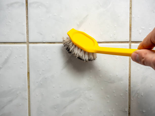 Best Home Mold Removal  in La Ada Flintridge, CA
