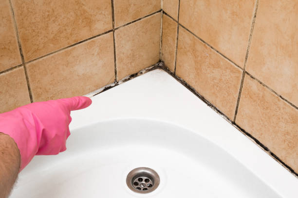 Best Crawl Space Mold Removal  in La Ada Flintridge, CA